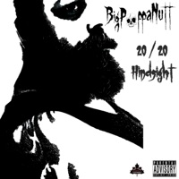 Hindsight 20/20 - Big Poppa Nutt