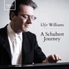 Llŷr Williams: A Schubert Journey