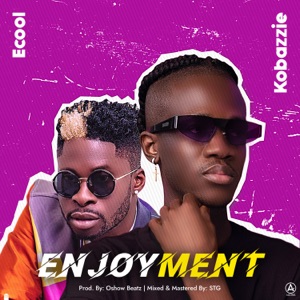 Enjoyment