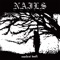 Depths - Nails lyrics