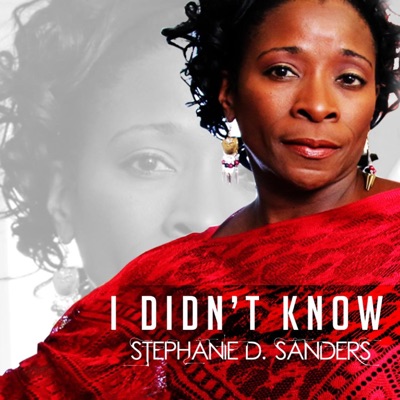 I Didn't Know - Single