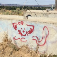 idk how 2 feel - Single - Lilvicbxi