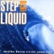 Mellow Mood - Slightly Stoopid lyrics