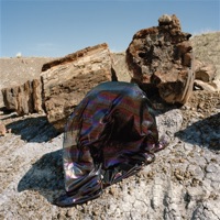 Black Books - The Big Idea