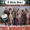 Ô Bicho Bom!, 1981