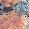 Amber Glass - Tom Jarmey lyrics