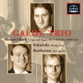 The Gaede Trio Series, Vol. 2 artwork