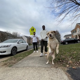 Can't Call It Ryan Robin