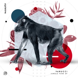 Jungle Funk - Single
