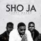 Sho Ja - Larry Gaaga, Base One & Wande Coal lyrics