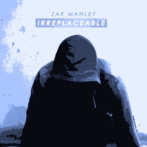 Irreplaceable - Single