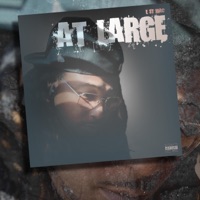 At Large (Intro to Gc2) - Single - E St Mac