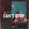 Can't Stop (Extended Mix) artwork