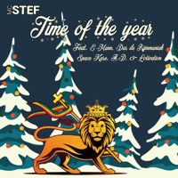 Time of the Year (feat. E-Mann, Das de Rijmmaniak, Space Kase, A.D. & Lotivation) - Single - Mc Stef