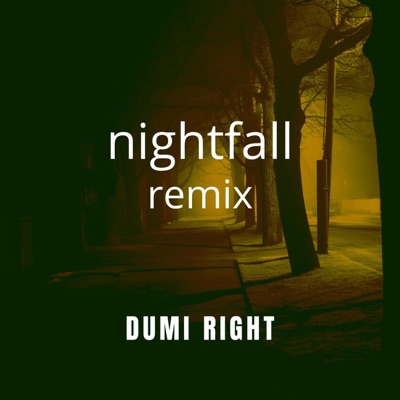 Nightfall (feat. Mr. Lif) [Remix] - Single