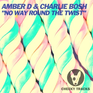 No Way Round the Twist - Single