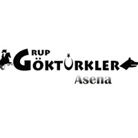Grup Göktürkler