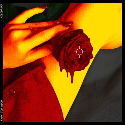 Know Too Much (feat. Yxngxr1) - Single