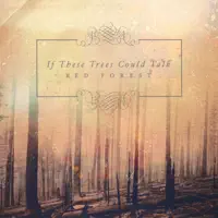 When The Big Hand Buries The Twelve — If These Trees Could Talk