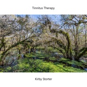 Tinnitus Therapy Kirby Storter artwork