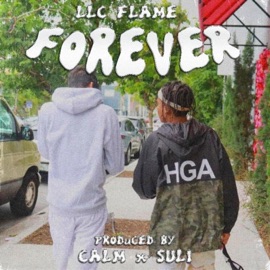 Forever LLC Flame