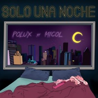 Solo Una Noche (feat. Micol) - Single - Polux