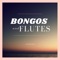 Anayways_Bongos anf flute (Tropical house) - Anyways lyrics