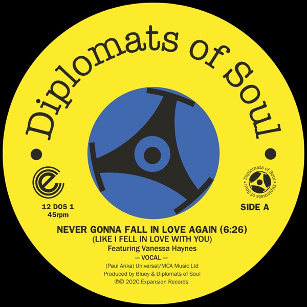 Never Gonna Fall in Love Again (Like I Fell in Love with You) [Digital] [feat. Vanessa Haynes] - Single
