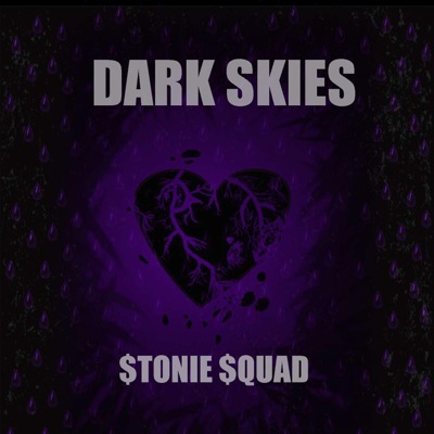 Dark Skies - Single