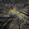 Wide Eyed - Beyond the Horizon