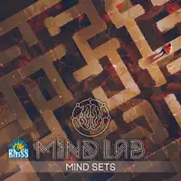 The Setting — Mind Lab