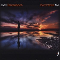 Don't Wake Me - Joey Fehrenbach