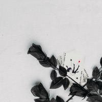 Valentine - MORETHAN, Lg4 Trey & Cormac Butler