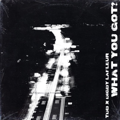 What You Got (feat. Digby Lafleur) - Single