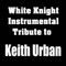 I Wanna Love Somebody Like You (Instrumental) - White Knight Instrumental lyrics