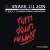 DJ Snake & Lil Jon