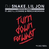 Turn Down for What (Remix) [feat. Juicy J, 2 Chainz & French Montana] - DJ Snake & Lil Jon