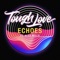 Echoes (feat. Alex Mills) - Tough Love lyrics