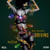 Ric Rowe - Driving