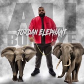 Jordan Elephant artwork