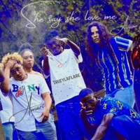 She Say She Love (feat. Alyssia, Amari & Trueylaflare) - Single - Rod Godson