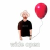 Wide Open - Single