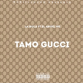 Tamo Gucci (feat. El Ángel HD) La Mula