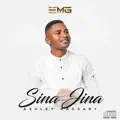 Sina Jina