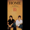 B'z - HOME artwork