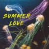 Summer Love by Criss Conrad iTunes Track 1