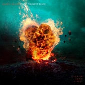 Hearts on Fire (Timmy Trumpet Remix) artwork