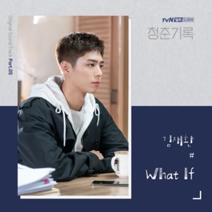Record of Youth (Original Television Soundtrack), Pt. 5 - Single
