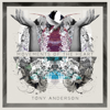 Rise (feat. Salomon Ligthelm) - Tony Anderson
