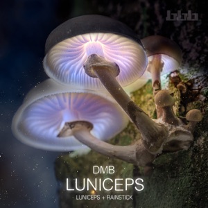 Luniceps (Radio Edits) - Single